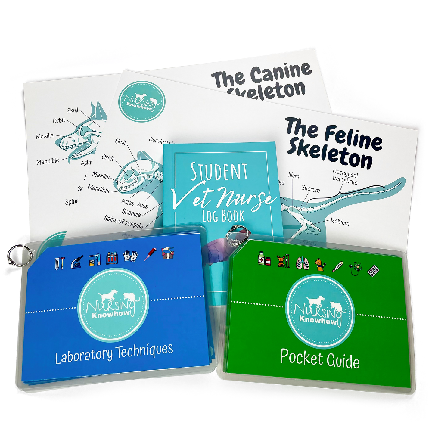 The Student Starter Bundle