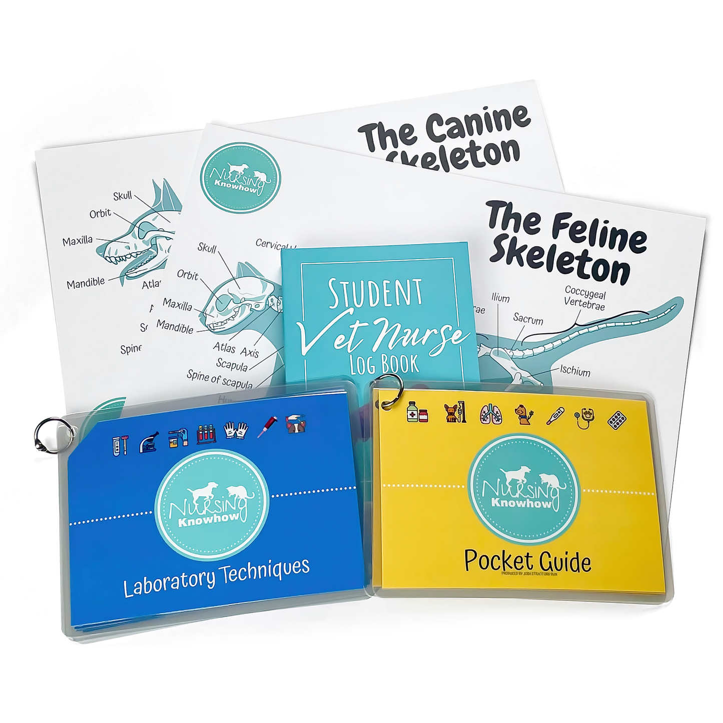 The Student Starter Bundle