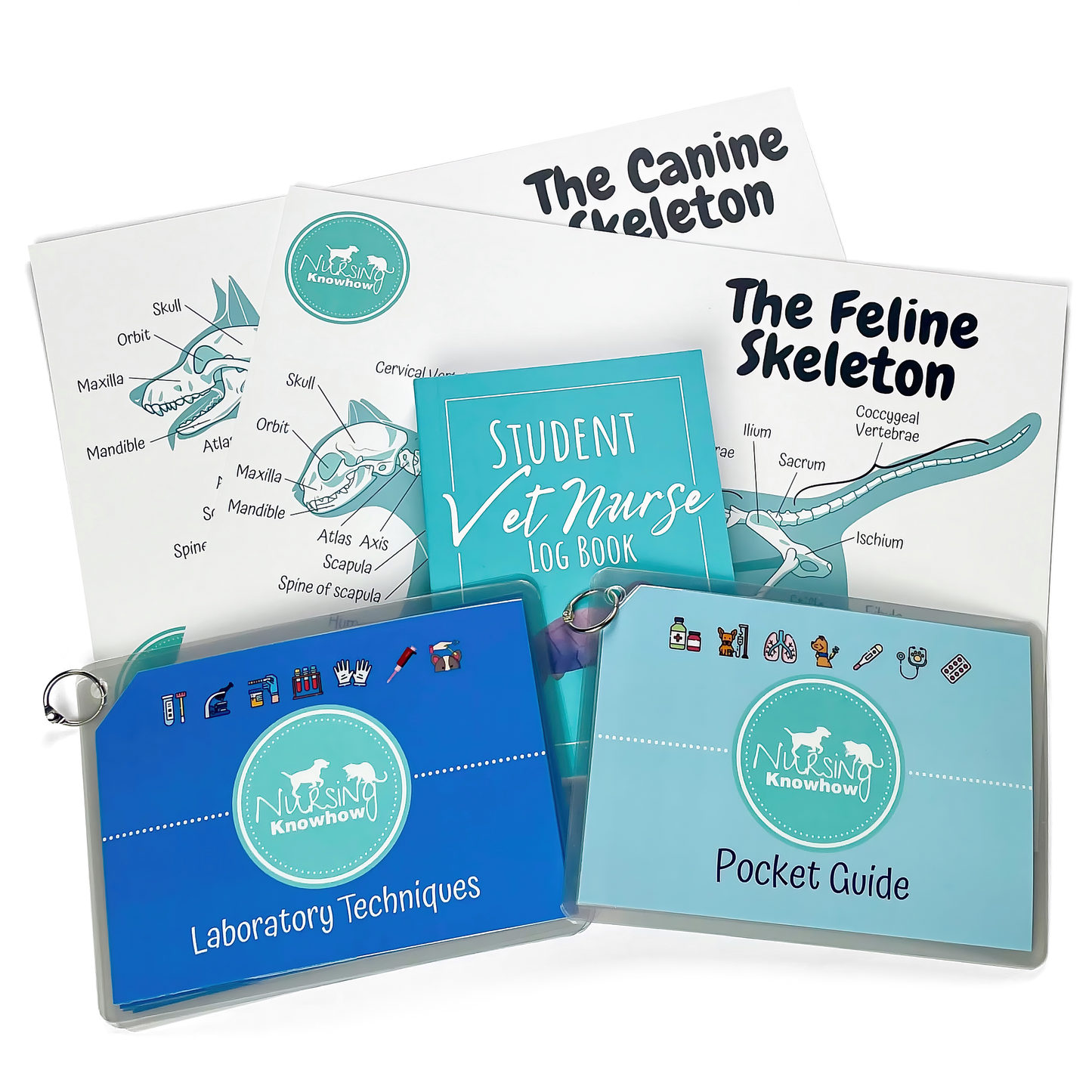 The Student Starter Bundle