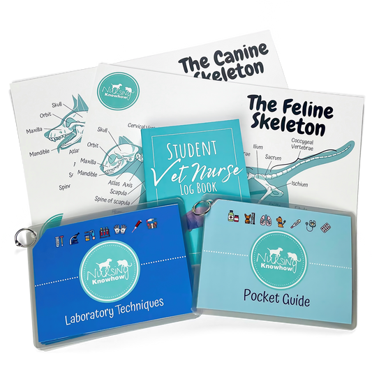 The Student Starter Bundle