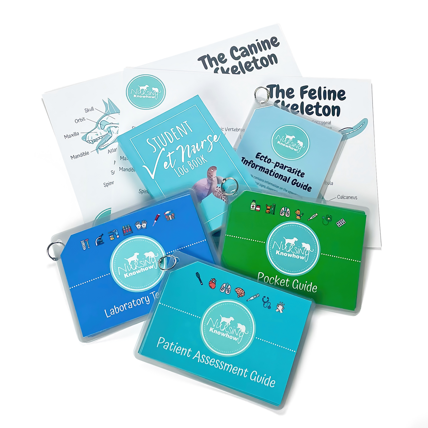 The Ultimate Student Bundle