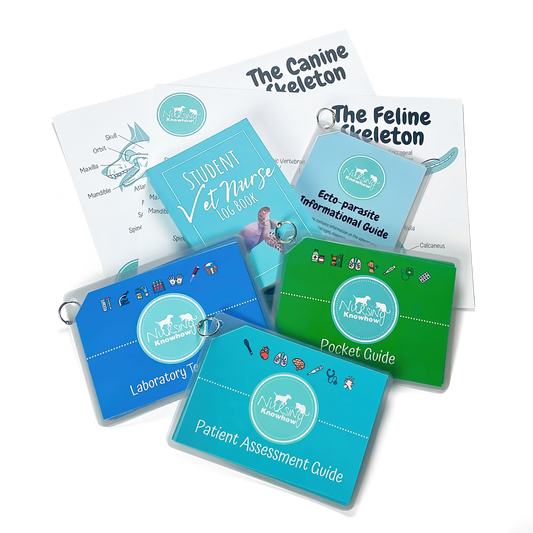 The Ultimate Student Bundle
