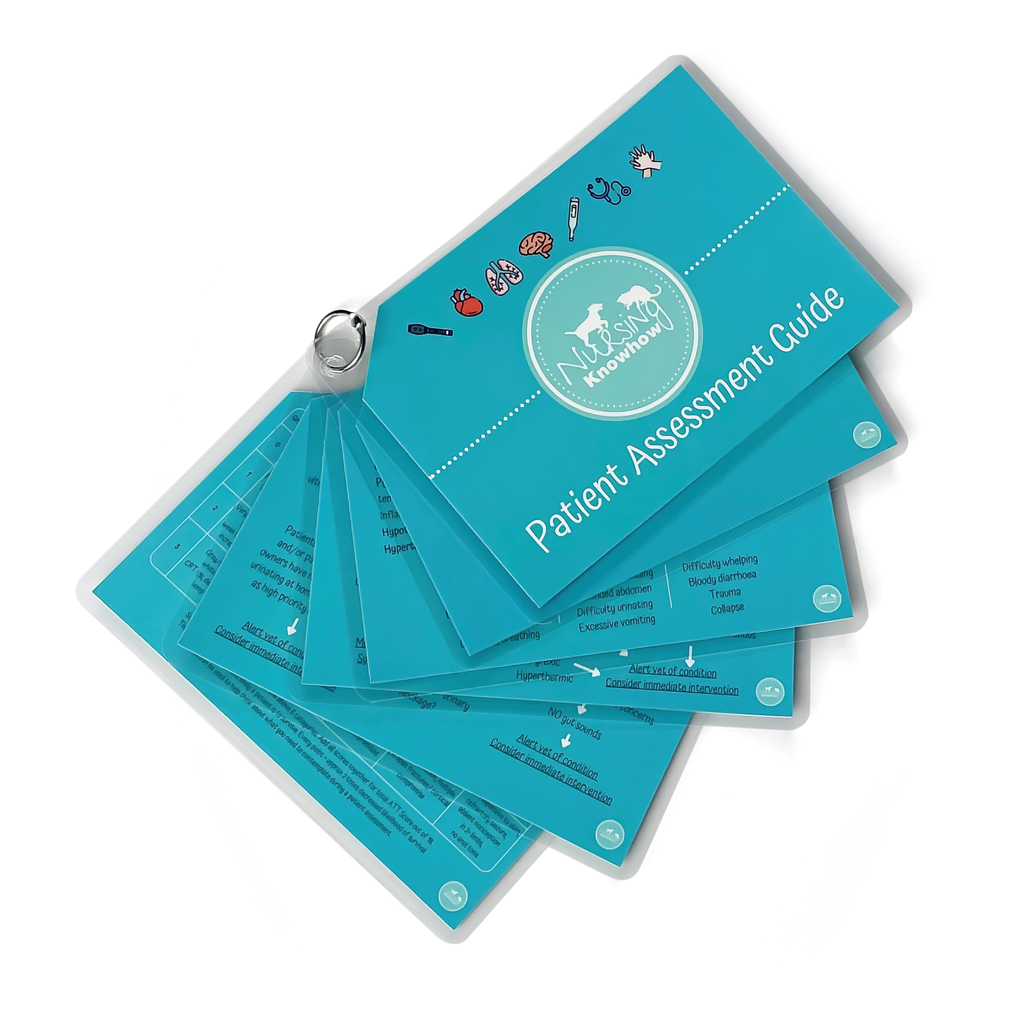 Patient Assessment Pocket Guide