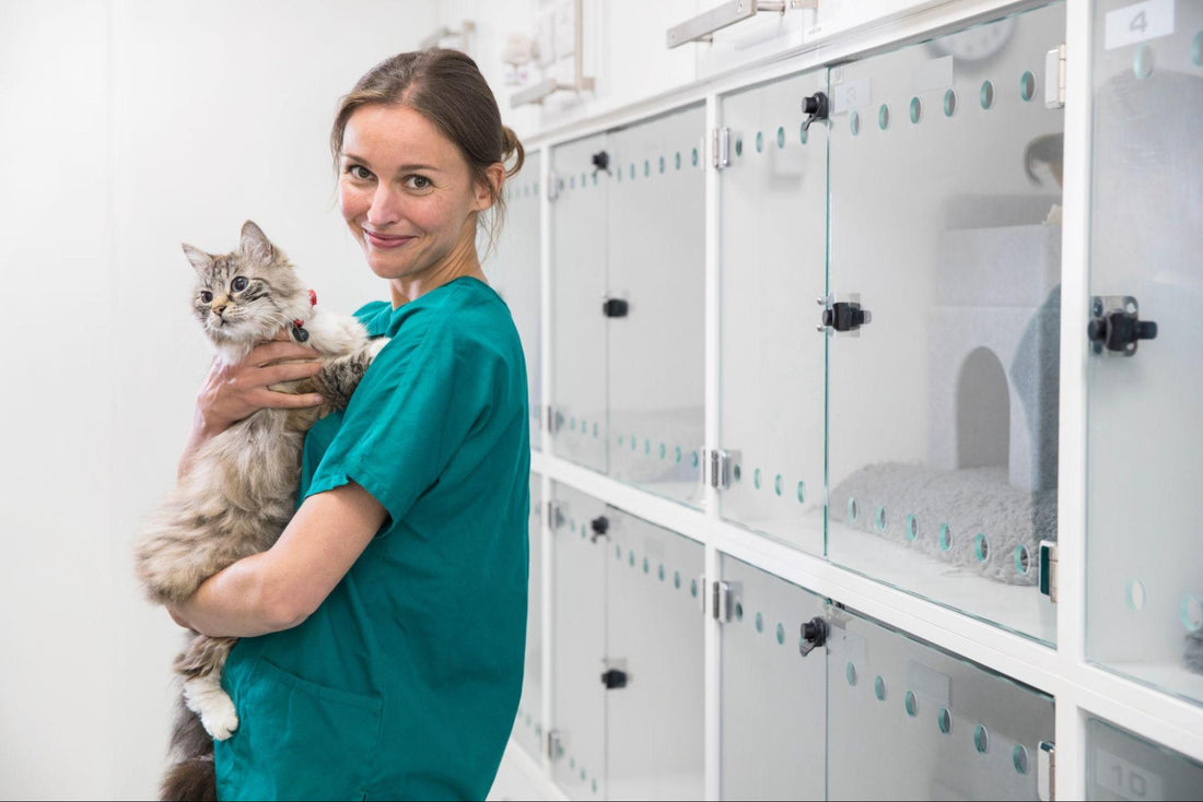 Are you a Student Vet Nurse Seeking Help with your Education?