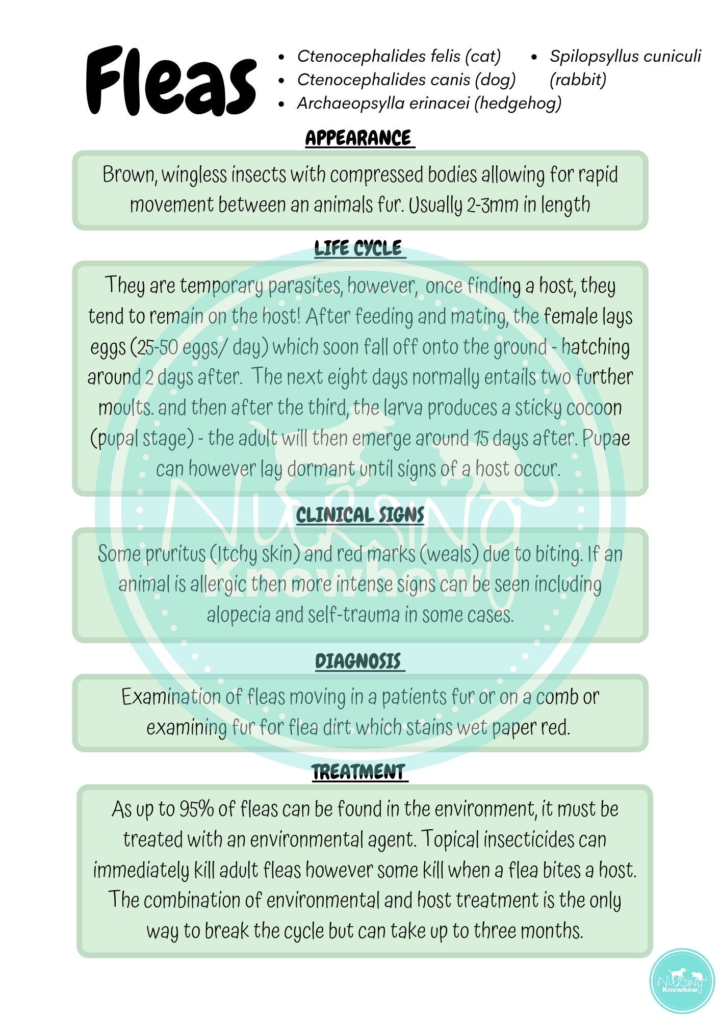 Vet & Vet Nurse Ecto-parasite Information Guide (Digital download) - Nursing Knowhow