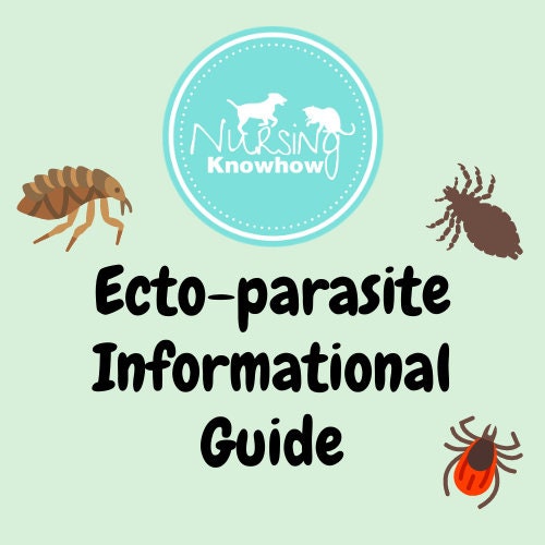 Vet & Vet Nurse Ecto-parasite Information Guide (Digital download) - Nursing Knowhow